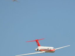 Flugtag 2022